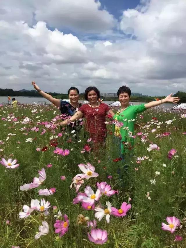 重阳节与老人互动,重阳节和老人互动