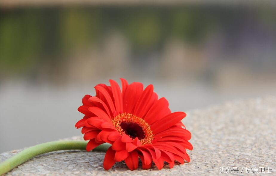 适合每一位家里有重病的人阅读:癌症老者的生死观,值得敬重!