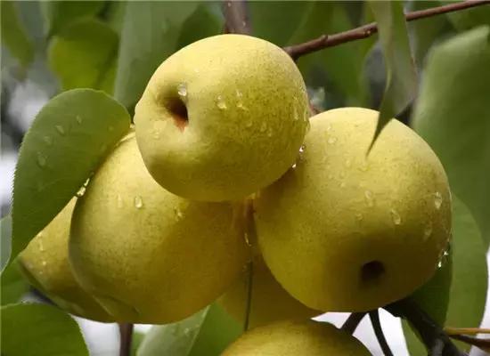 泰国100元人民币能买什么,在泰国100人民币能买到什么