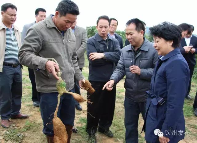 钦州市党代会报告,钦州市召开第六次党代会
