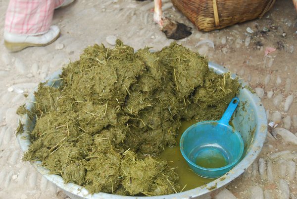 农村满地的野草都是宝,农村到处都是宝完整版