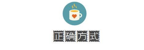 一千平室外宠物乐园,拥有数百只流浪猫的猫咪公园