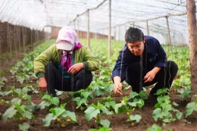取消农业户口土地怎么办,山东省莱芜市农村宅基地政策