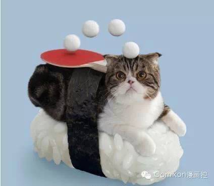 可爱猫咪戴着发箍,可爱的猫咪发箍