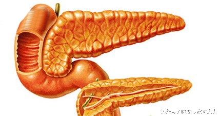 乔布斯胰腺癌得了几年,乔布斯得了胰腺癌活了八年