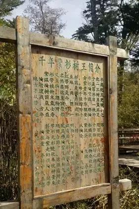 娼烘胶婧按缇庢櫙,娼烘胶娴佹按楦熻鑺遍灞辨竻姘寸