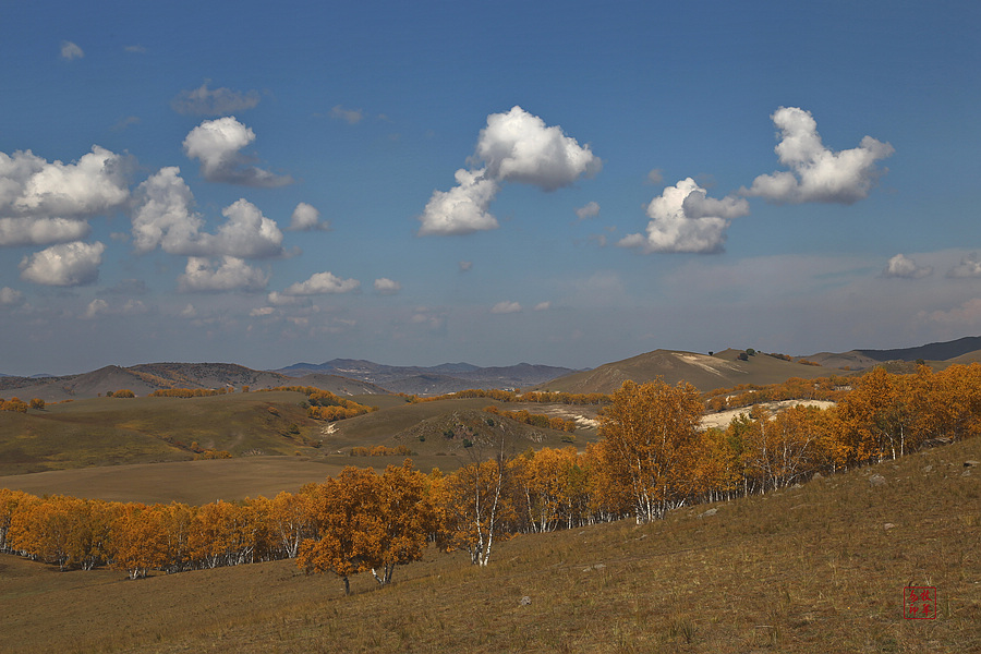 坝上草原雪景航拍,坝上草原秋景美图
