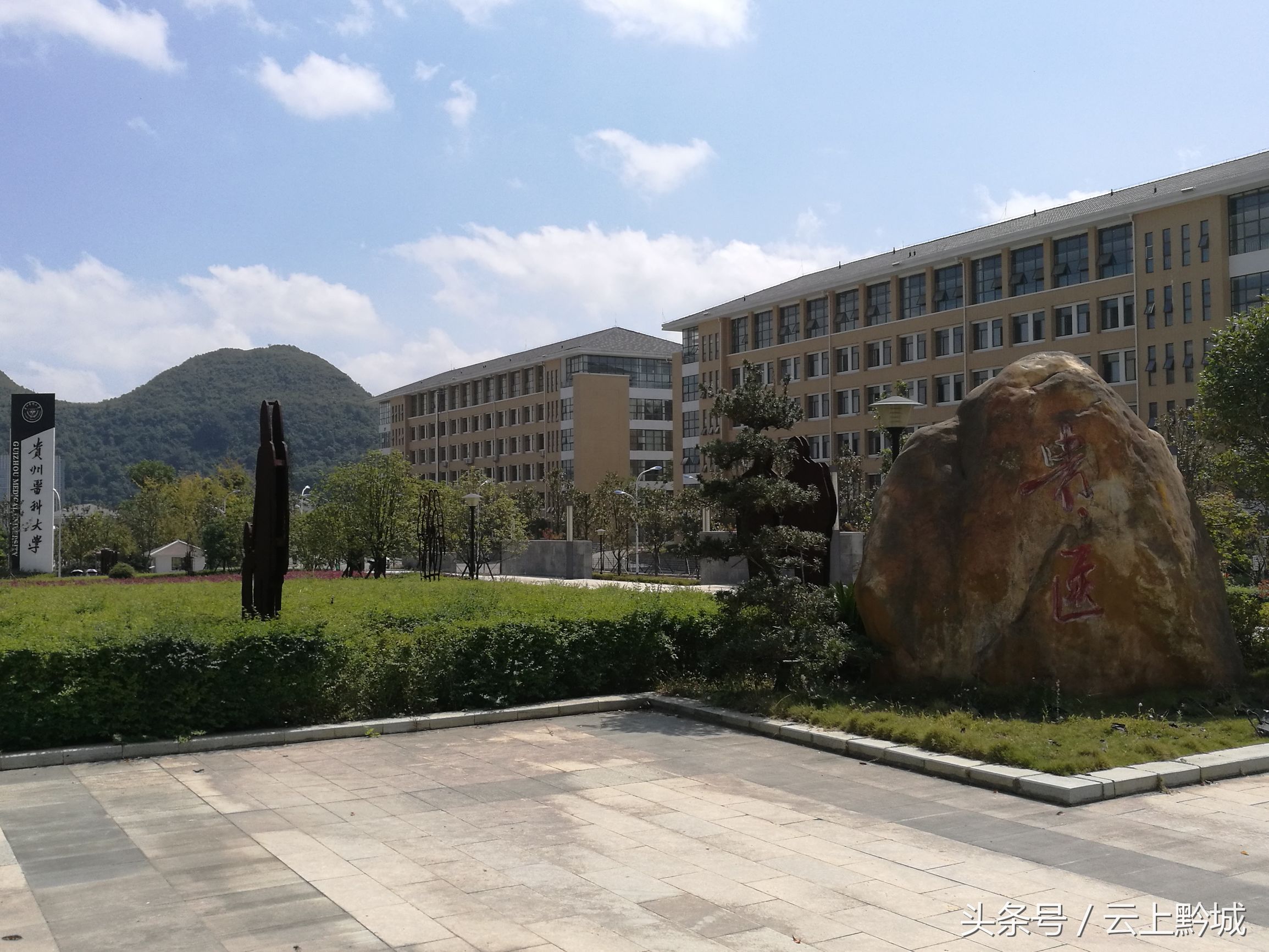 新区大学城有哪些,国家级新区大学城