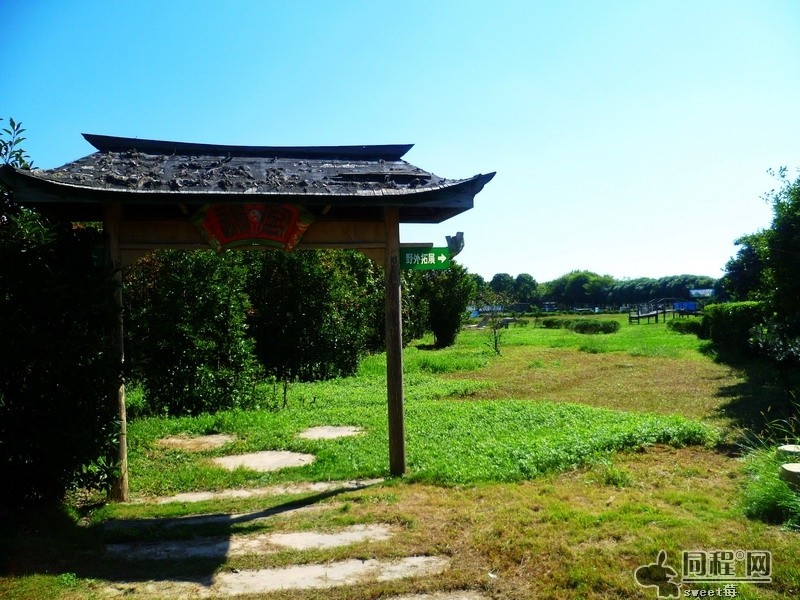 国庆带狗狗适合去哪玩,国庆狗狗出去浪