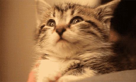 知乎神回复简短,知乎神回答大全