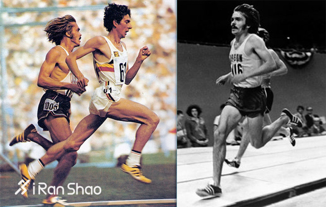 科普20个你不知道的冷知识,跑鞋知识科普视频