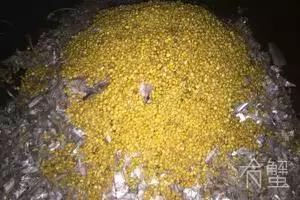 阳澄湖大闸蟹的未解之谜,阳澄湖大闸蟹怎么保证不死