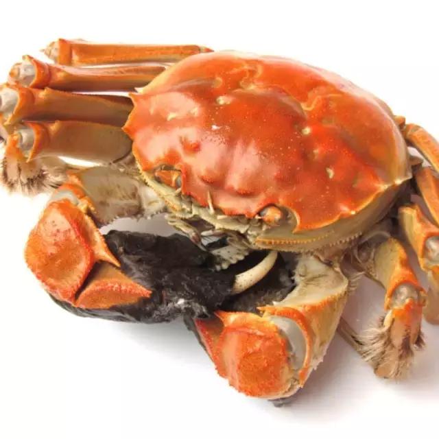 阳澄湖大闸蟹的未解之谜,阳澄湖大闸蟹怎么保证不死