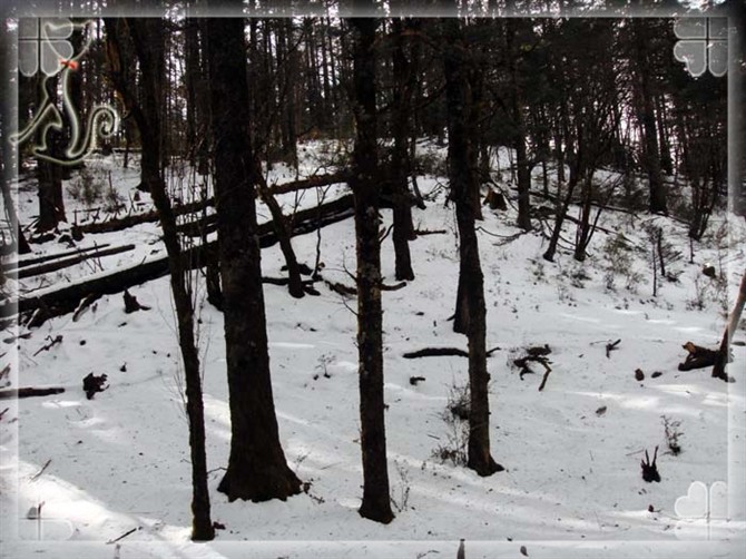 2015游云南玉龙雪山 (昆明玉龙雪山之旅)