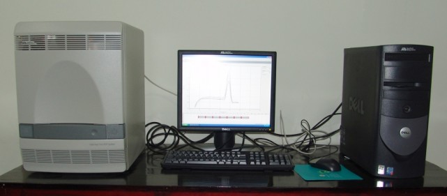 转基因玉米鉴定技巧,玉米转基因鉴定标准有哪些