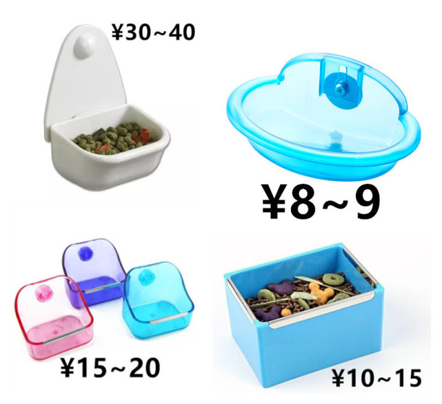 养一只荷兰猪需要花多少钱,养一只荷兰猪需要准备些什么