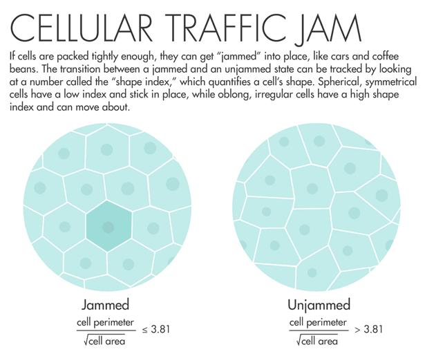 攻克癌症的设备,攻克癌症的绝技