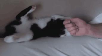 肥皂掉在地上捡还是不捡,肥皂掉地上捡不捡