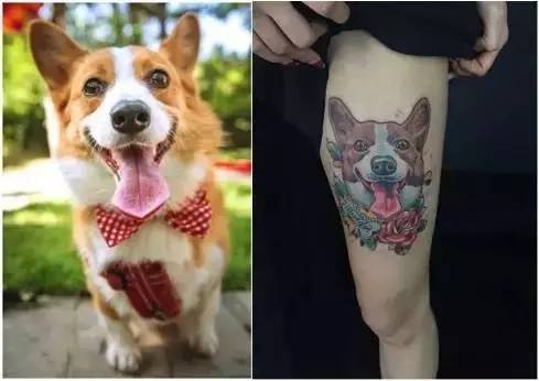 这场还原“暮光之城”的波西米亚婚礼，一只心机柯基成功抢镜