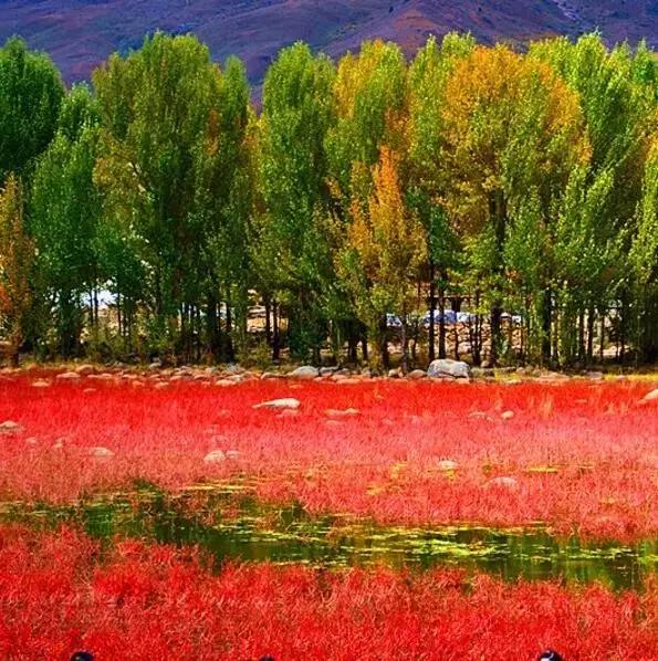 稻城从你的全世界路过片段,稻城从你的全世界路过