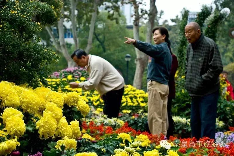 秦皇岛重阳,九九重阳节河北吃什么