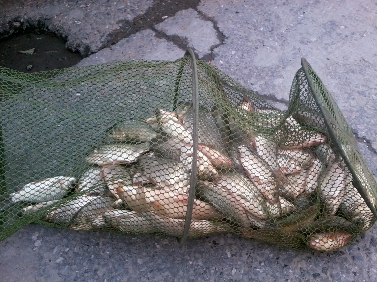 野钓新手入门钓具指南,小白野钓必备钓具