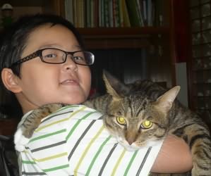 猫星人不让抱?教你六招如何正确的抱猫