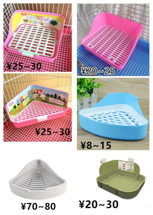 养一只荷兰猪需要花多少钱,养一只荷兰猪需要准备些什么