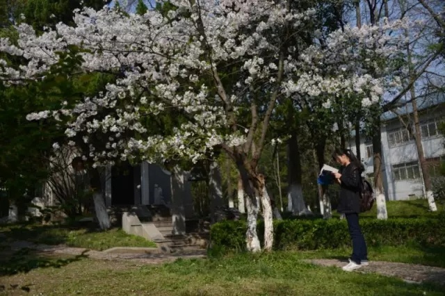 京南大学什么档次,京大是什么档次的学校