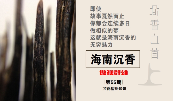 海南沉香最好是啥沉香,海南沉香知识