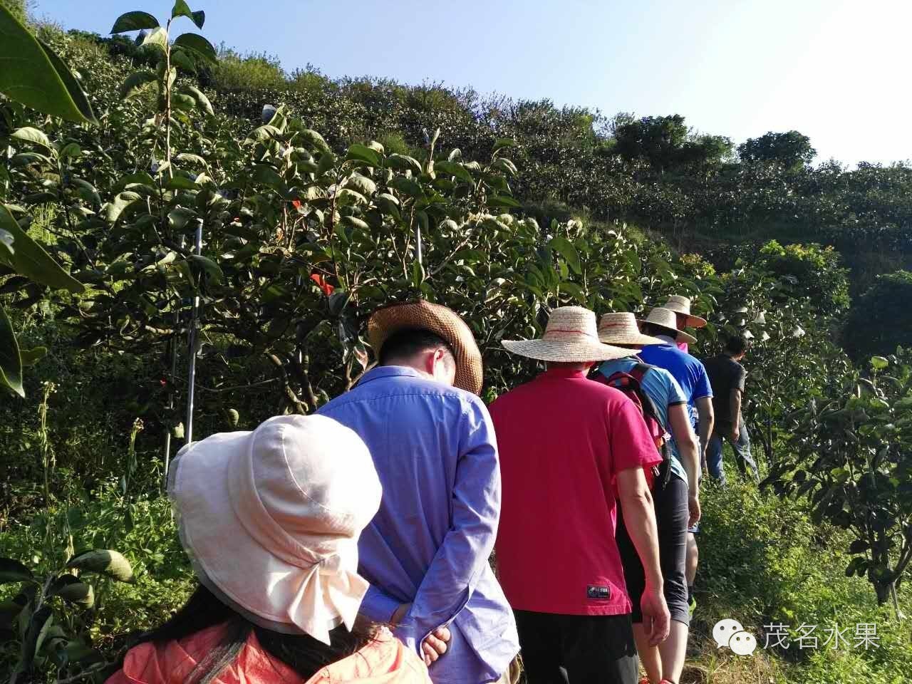 秋天如约而至,秋天如期到来