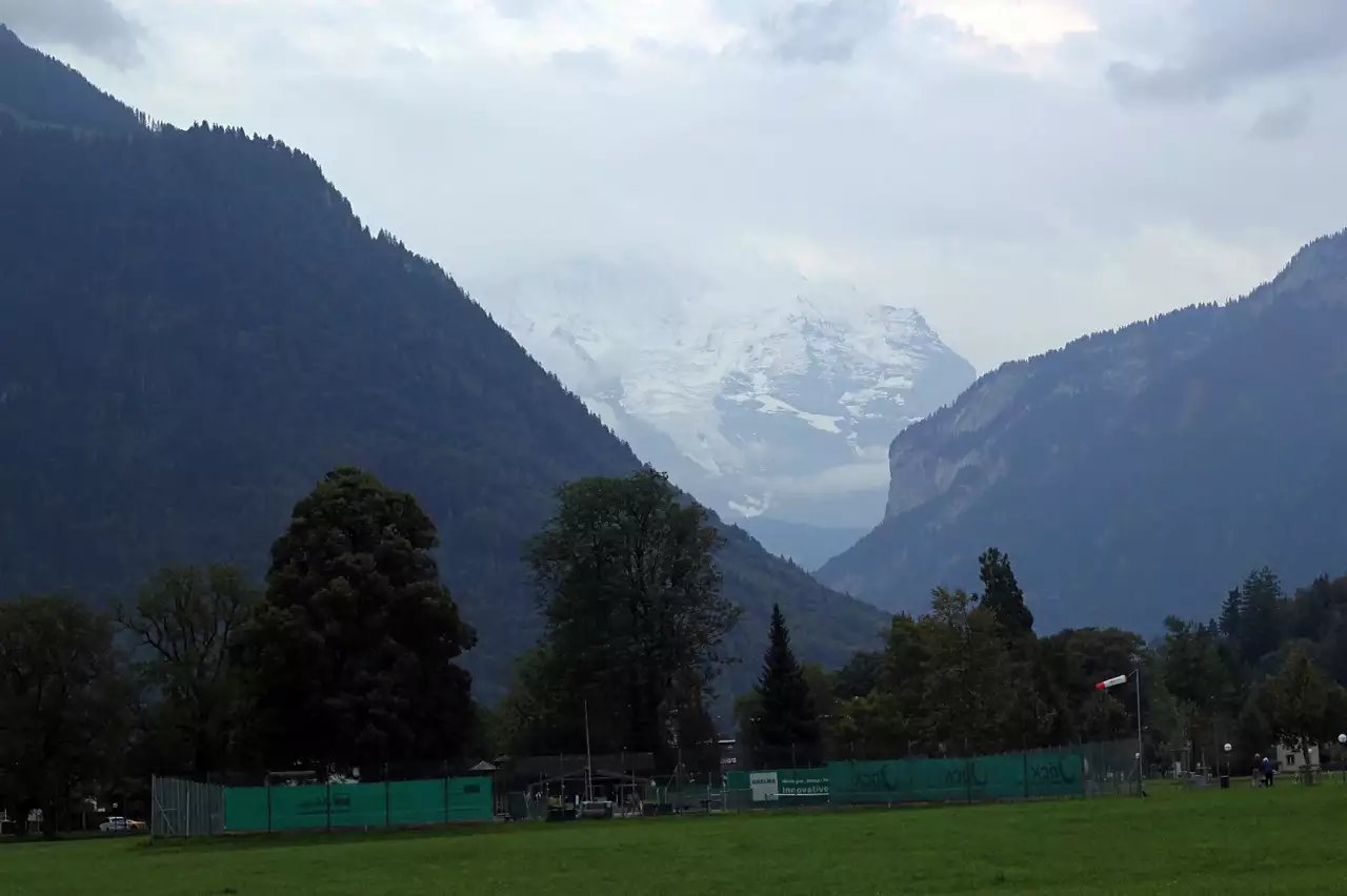 蓝瘦香菇在这里视频,蓝瘦香菇在法国