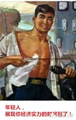 豚鼠各类饲养装备优缺点汇总之上篇