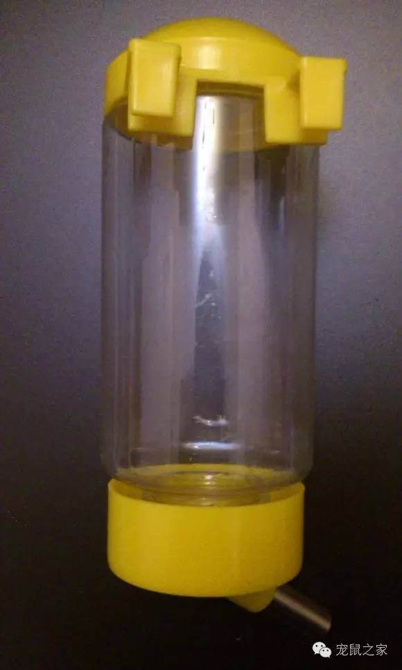 豚鼠各类饲养装备优缺点汇总之上篇