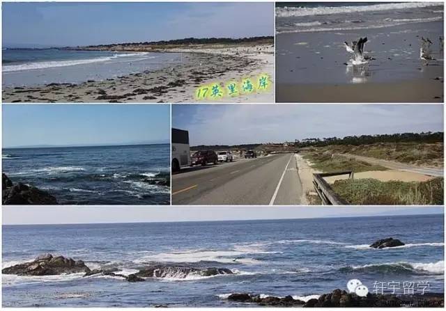 美景+购物黑色星期五遇上加州一号公路！完美旅程11月19日启程！一年一次！抓紧报名！