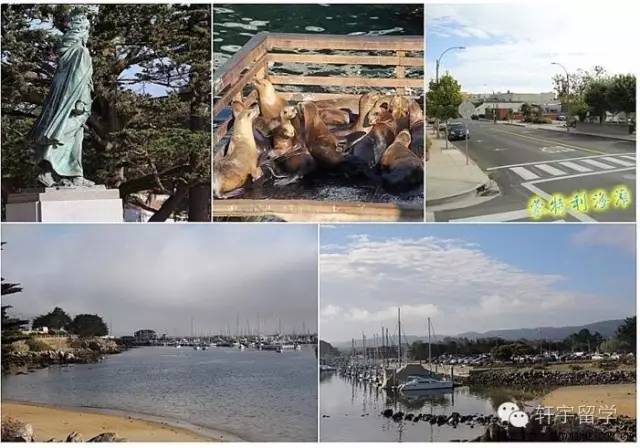 美景+购物黑色星期五遇上加州一号公路！完美旅程11月19日启程！一年一次！抓紧报名！