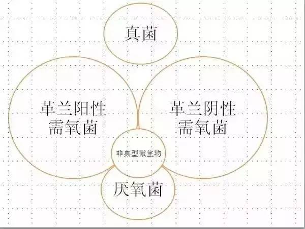 「简单粗暴」最简单明了的抗生素图解！