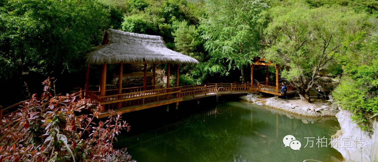 荐读际山枕水万柏林，钟林毓秀河之西（四）