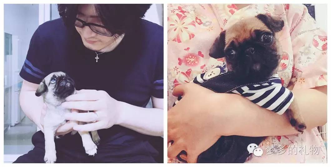 lo娘必须要知道的知识,lo娘百科知识