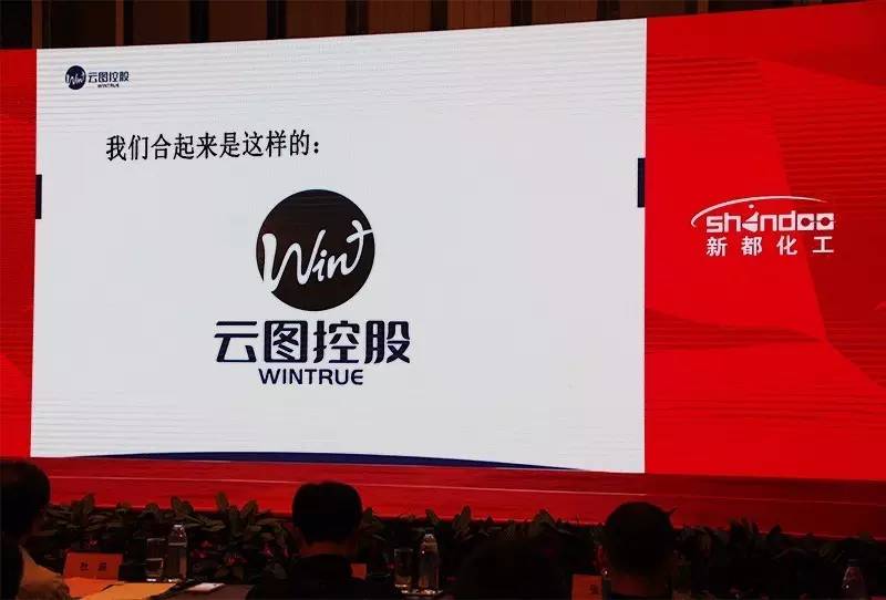 云图控股新都化工,新都化工与云图控股