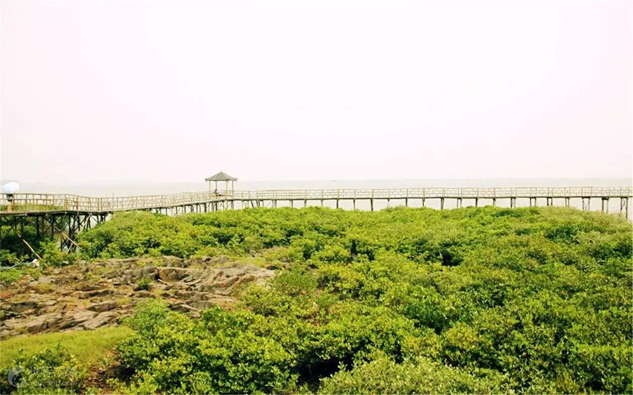 玩出冲浪的感觉,广西最美海边沙滩推荐