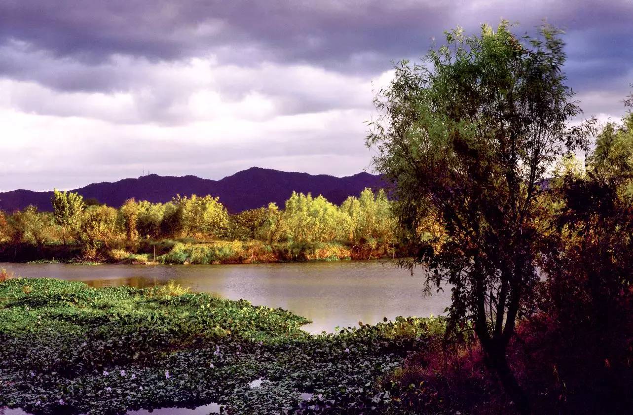 香港愉景湾游玩攻略,香港大屿山愉景湾
