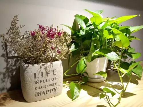 金立商务手机推荐学生党,金立4.7寸手机推荐