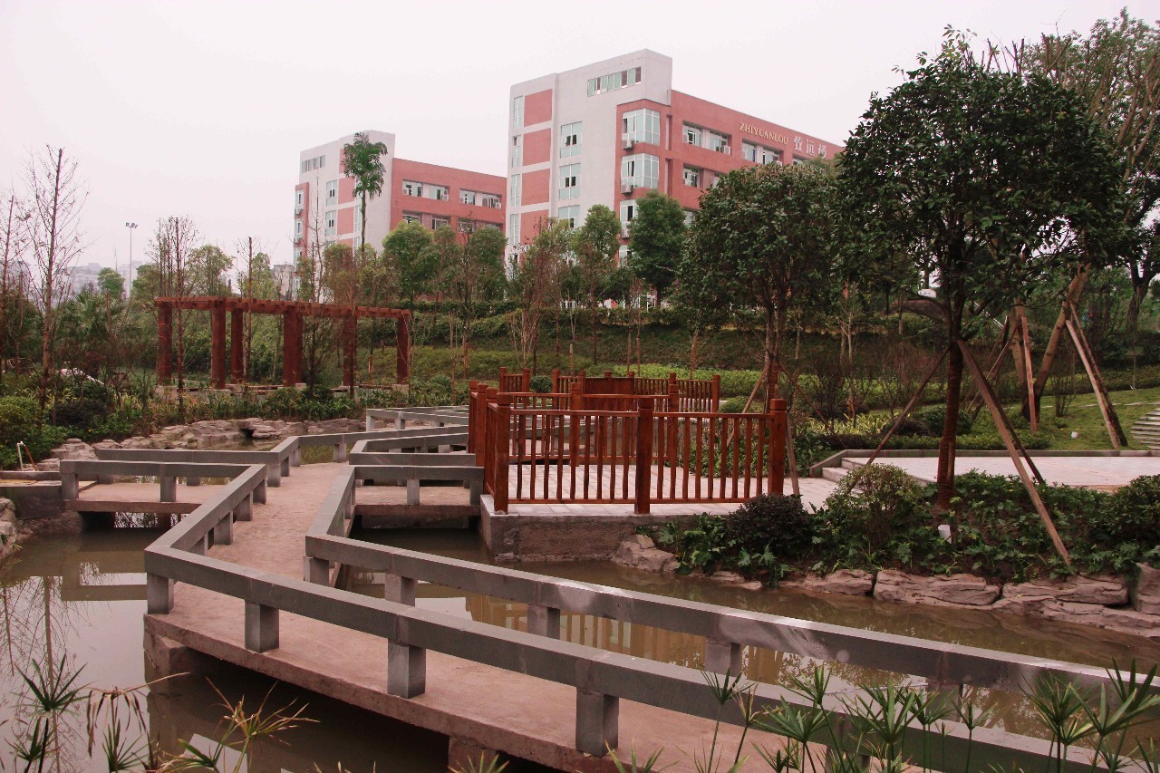 重庆北碚四十八中学里面怎么样,重庆市最美校园