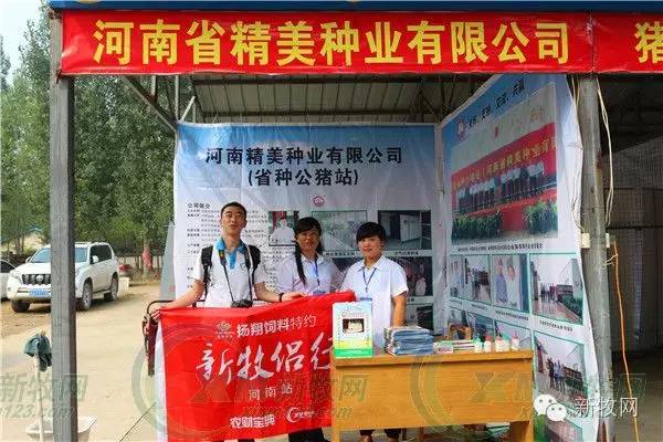 河南养猪业巨头,河南养猪身价百倍