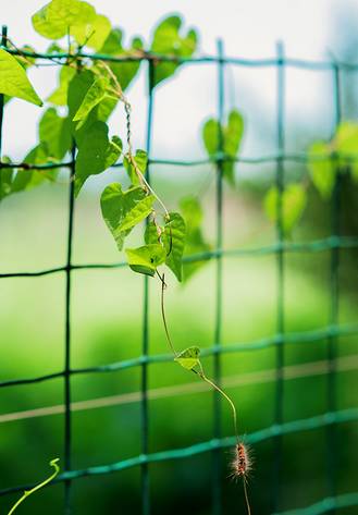 佛山十大网红景点推荐自驾游,说走就走重庆旅游攻略