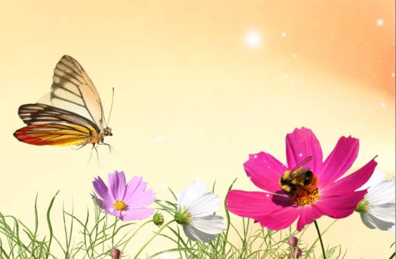 蝶恋花二首其一,蝶恋花二首宋欧阳修拼音