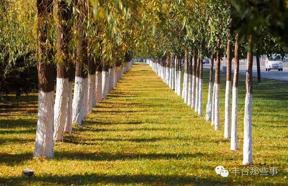 丰台村子,京郊最美乡村