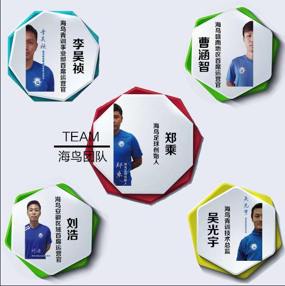 绿茵场和足球场,绿茵联手计划足球赛