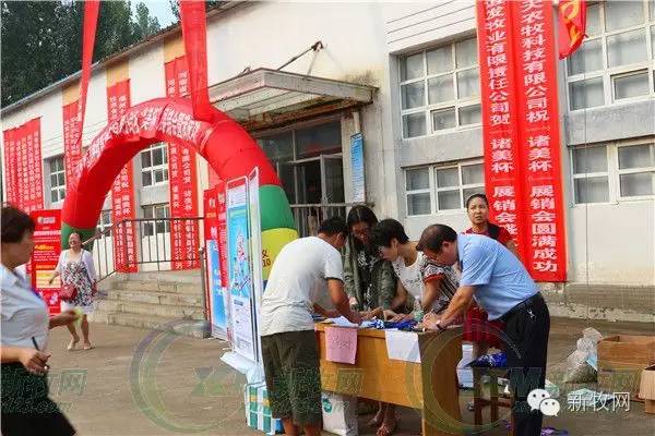 河南养猪业巨头,河南养猪身价百倍